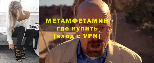 прущие грибы Наволоки