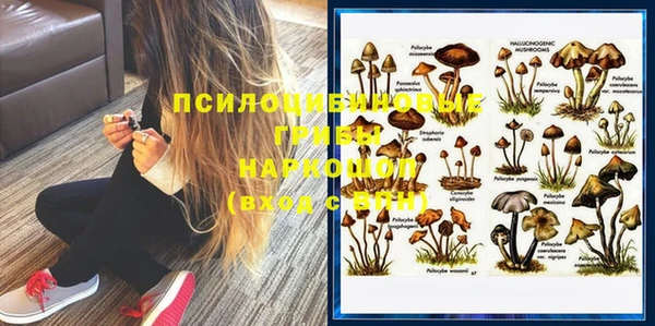 apvp Абдулино