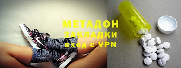 прущие грибы Наволоки