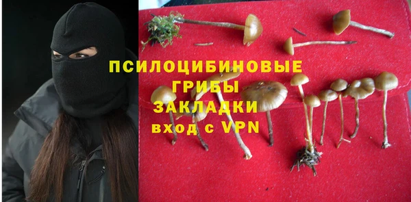 apvp Абдулино