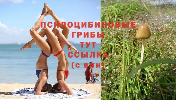 а пвп мука Навашино
